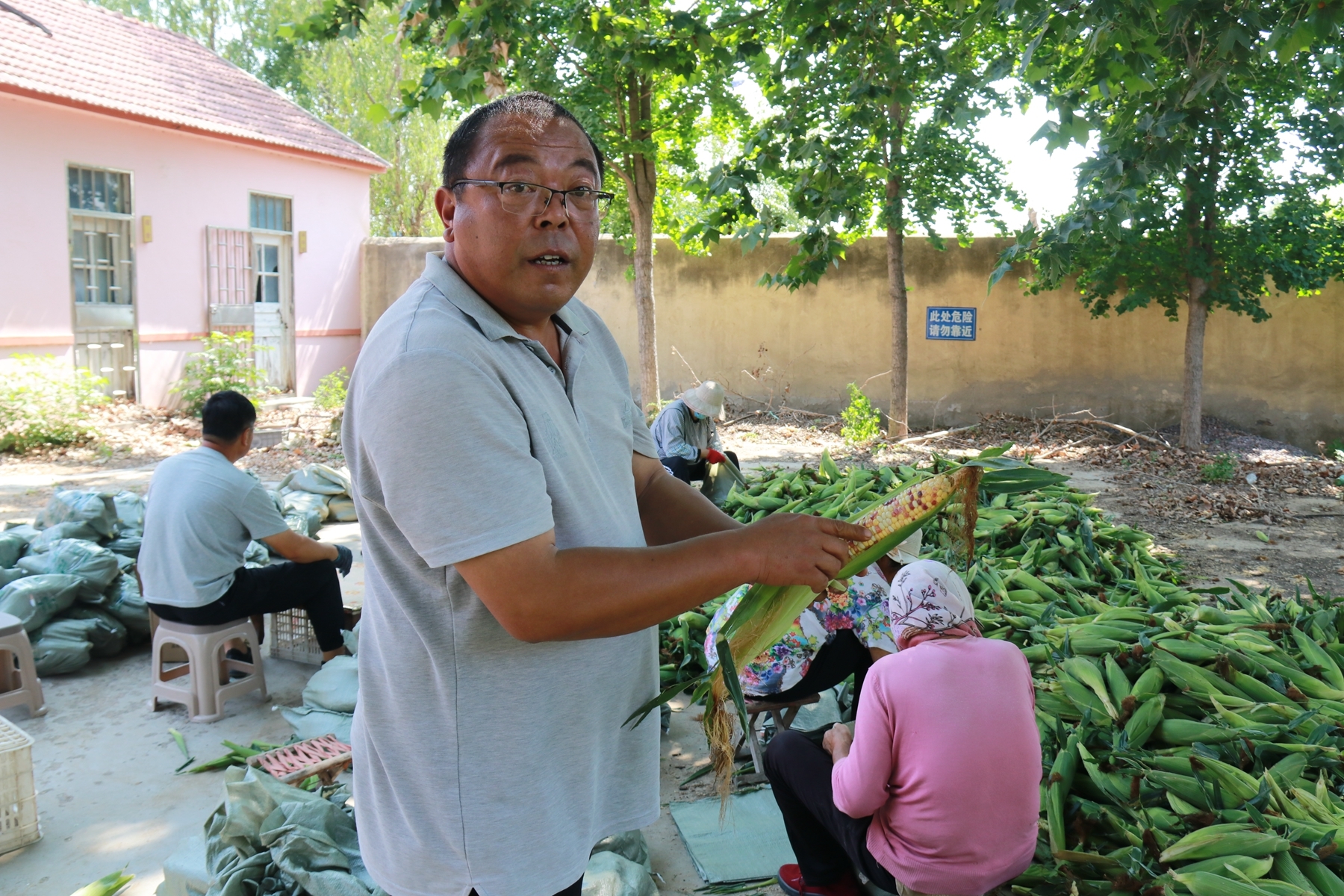 青岛乡里乡亲|王光锋:从蔬菜批发商到助农带头人