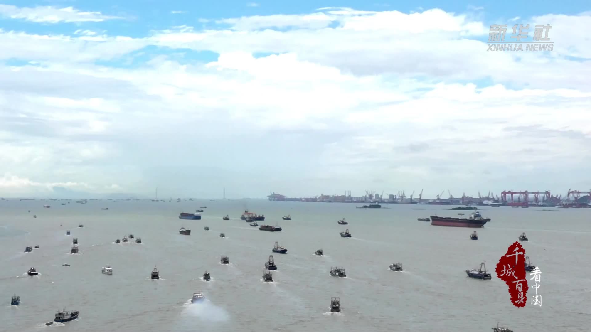 千城百县看中国｜东莞虎门：清蒸奄仔蟹 至简则至鲜