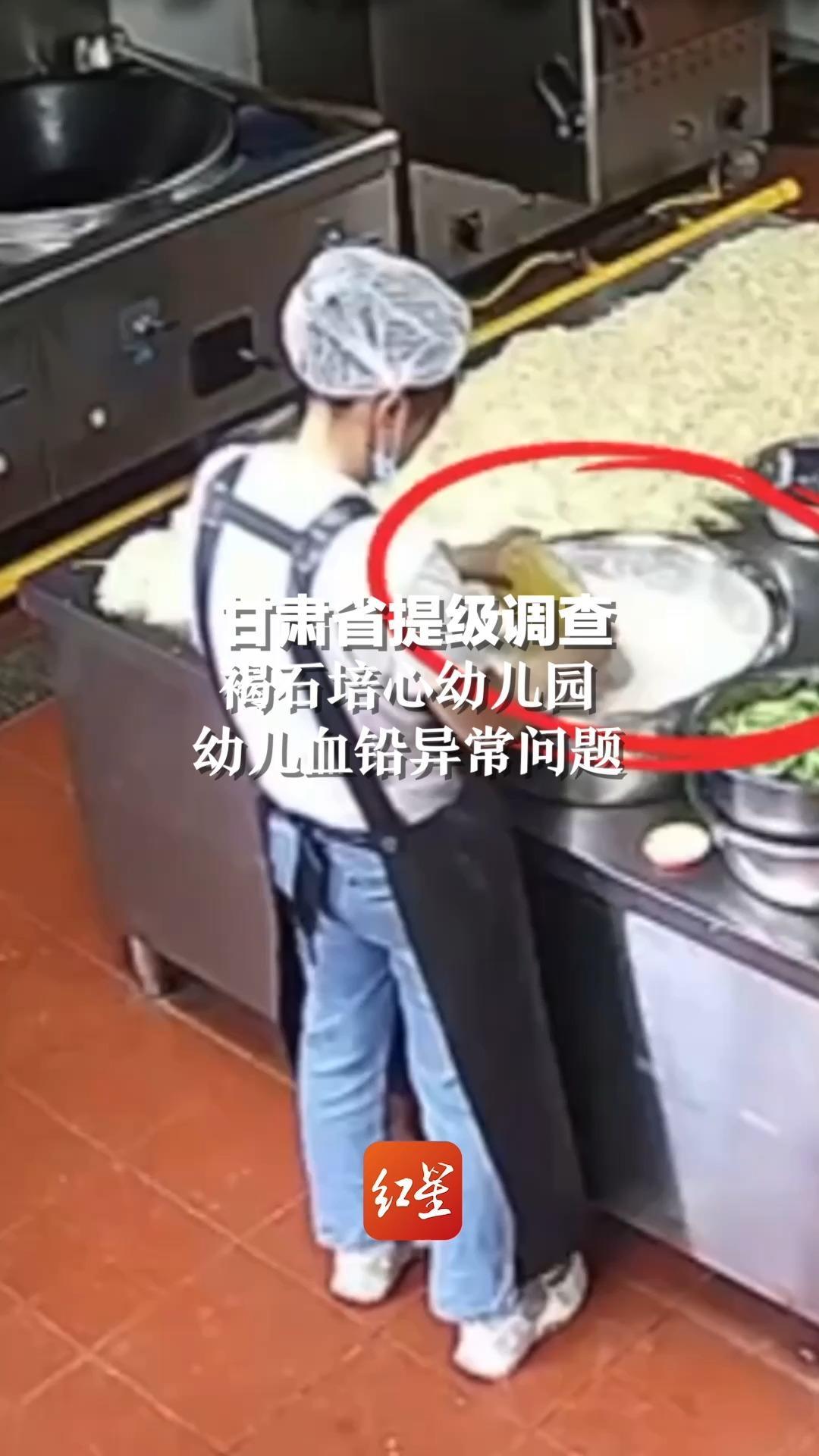 甘肃省提级调查褐石培心幼儿园幼儿血铅异常问题
