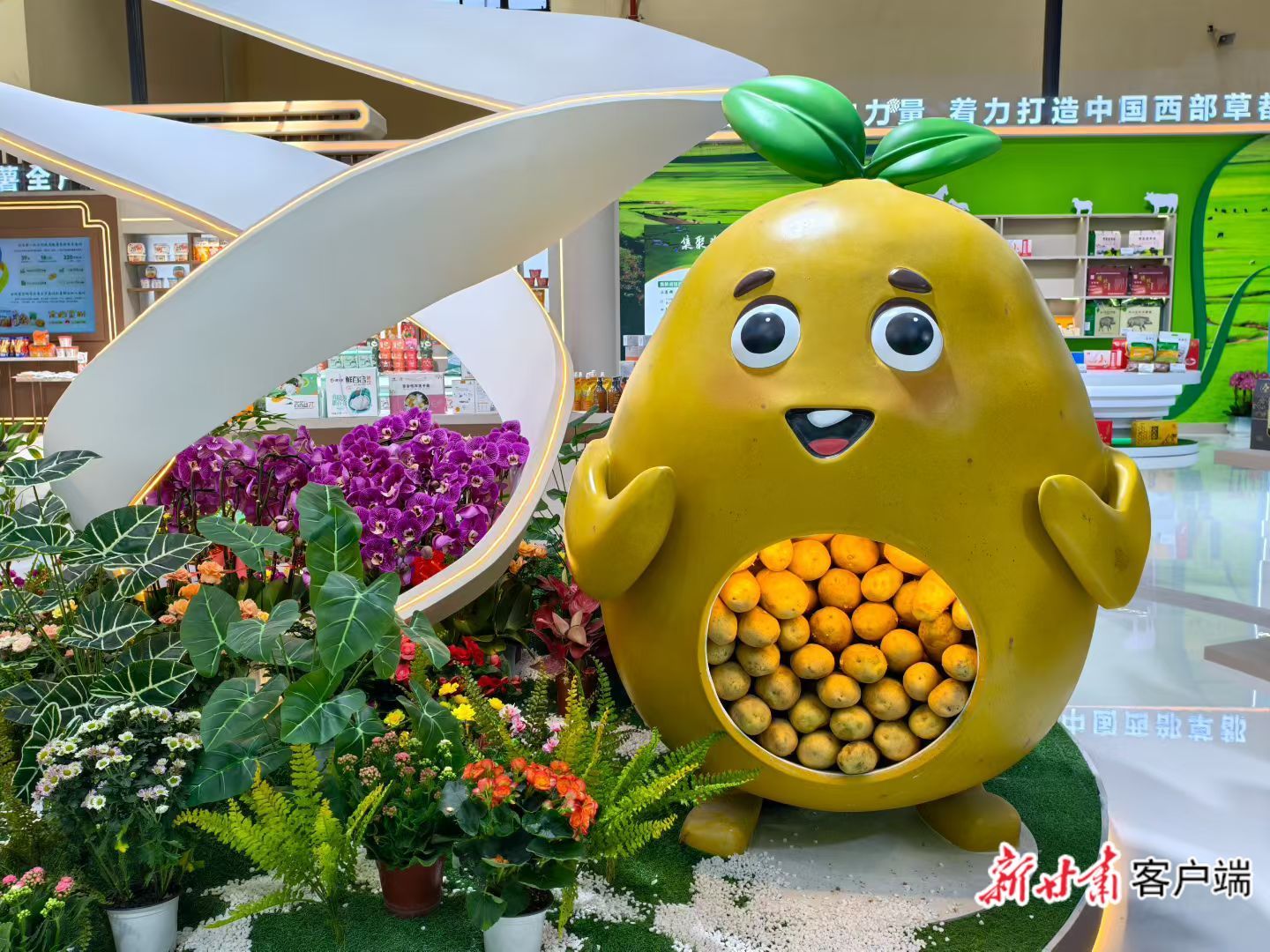 电商盛宴嗨翻兰洽会　近200企业秀看家本领share甘味