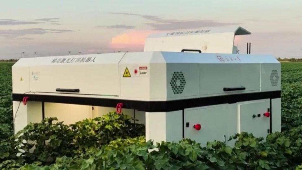 新疆制造！全球首款棉花激光打顶机器人亮相