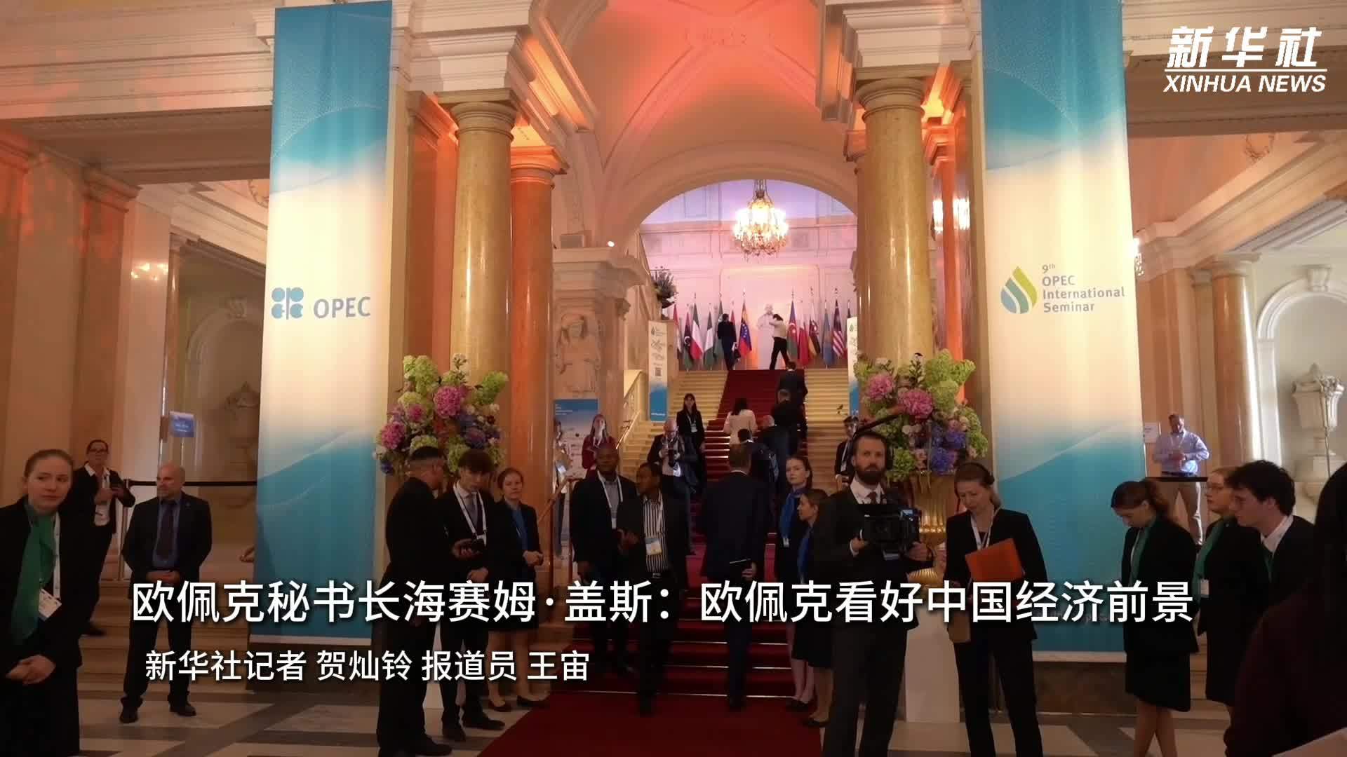 欧佩克秘书长海赛姆·盖斯：欧佩克看好中国经济前景