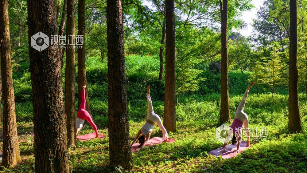 2025年7月5日在江西省吉安市新干县云峰岭林场拍摄的画面。