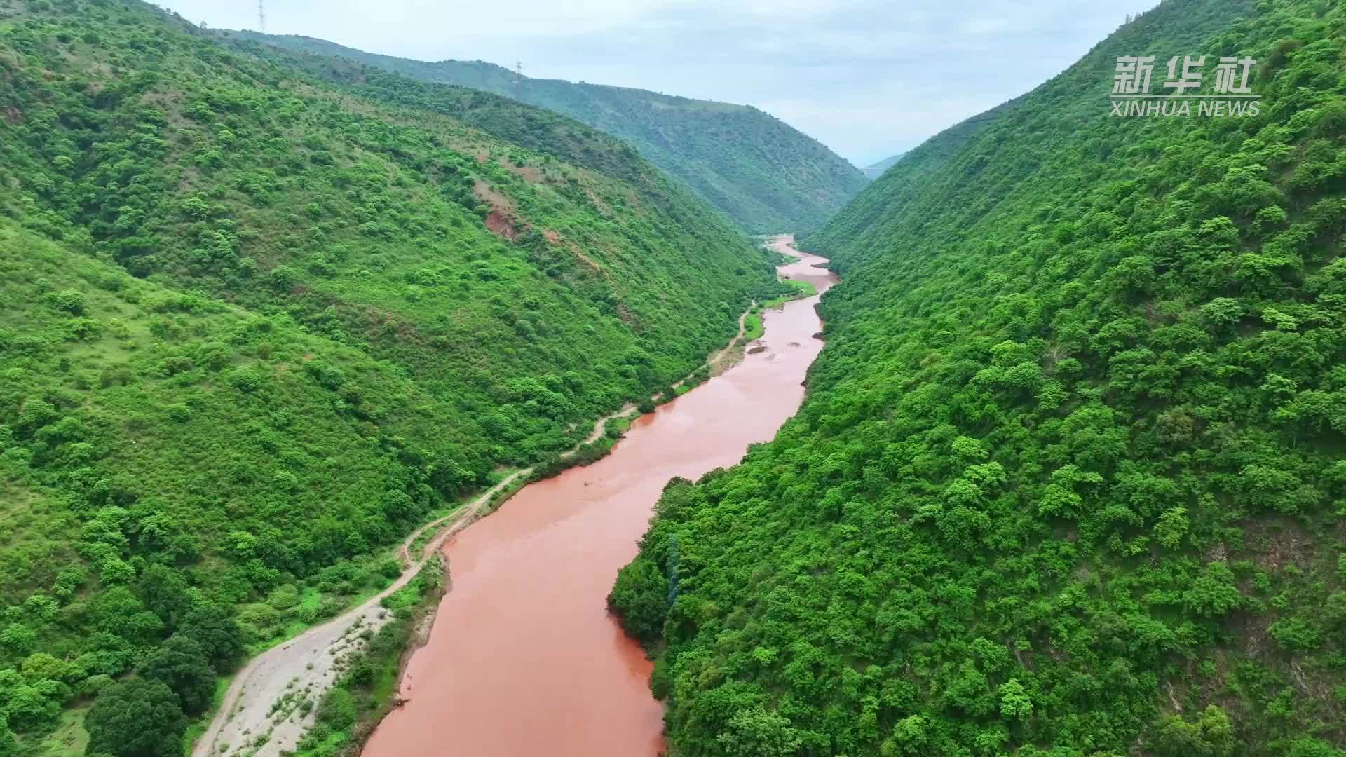 云南元江出现“蝴蝶大爆发”生态景观