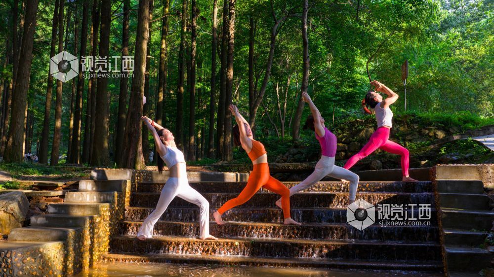 2025年7月5日在江西省吉安市新干县云峰岭林场拍摄的画面。