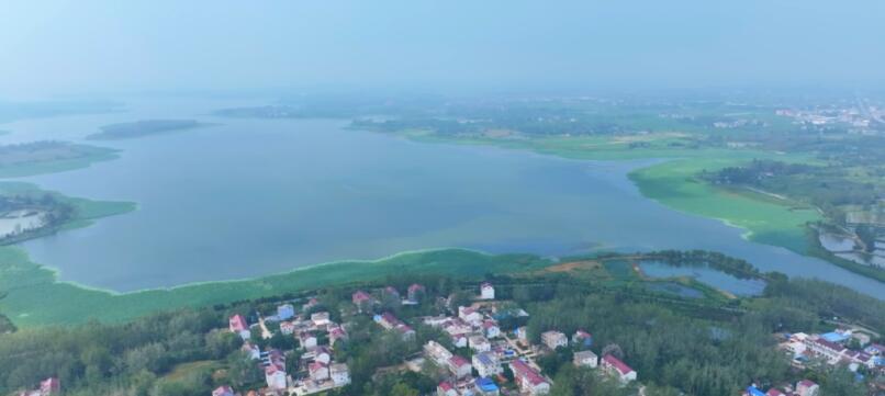 优良的湿地生态。