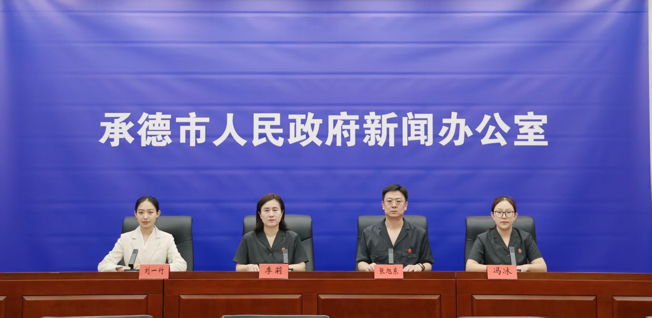 发布会 王占平摄