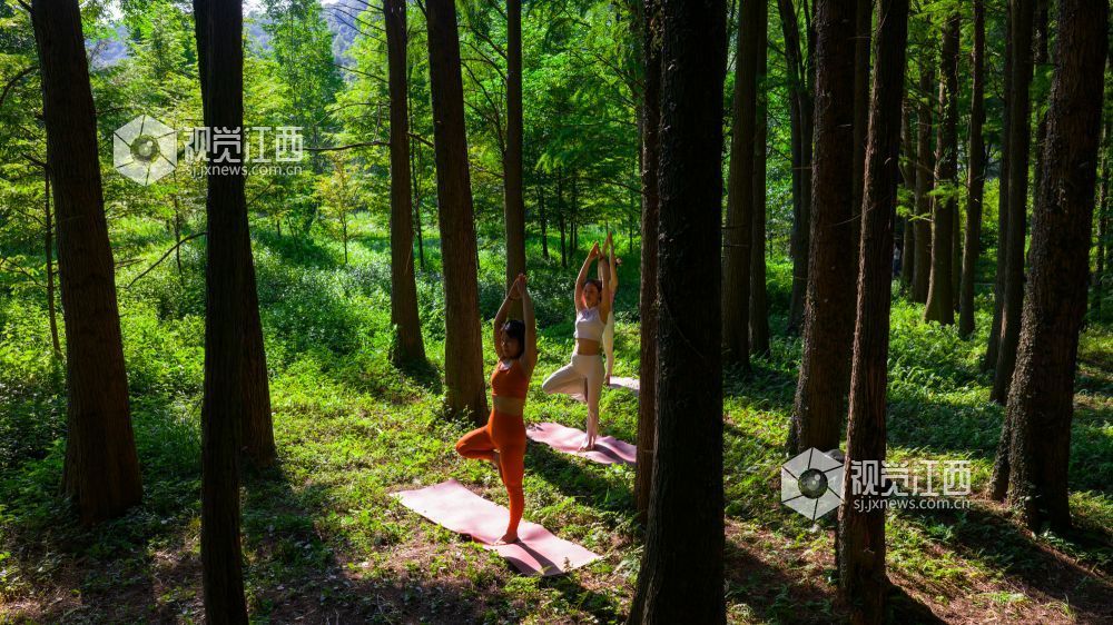 2025年7月5日在江西省吉安市新干县云峰岭林场拍摄的画面。