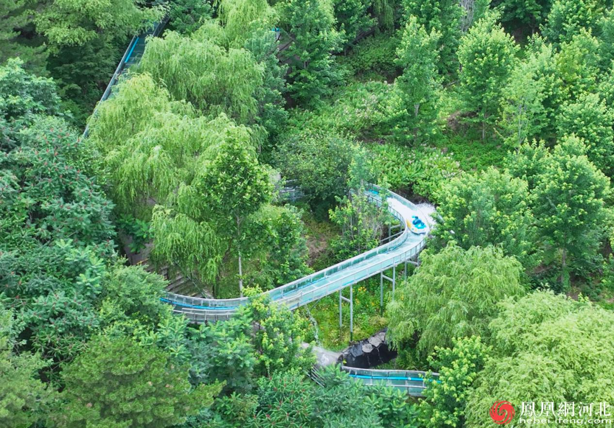 漫山花溪谷高空玻璃漂流
