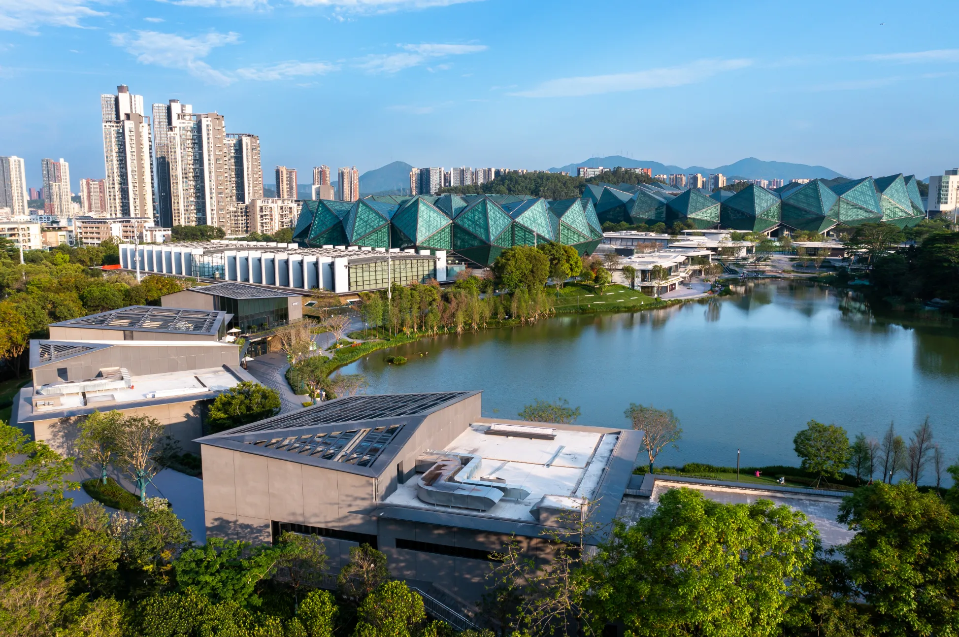 “文体+”的隐藏玩法，龙岗整明白了！