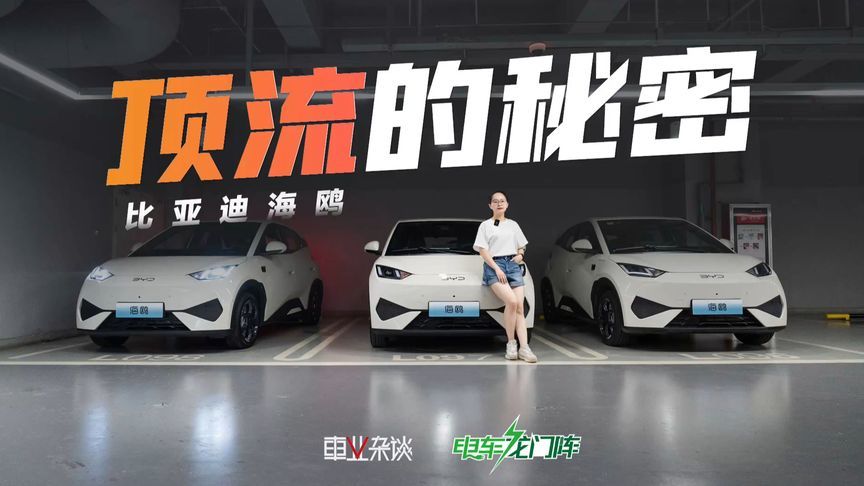 如果再选一次比亚迪海豚和海鸥，优先选海鸥，原因只有1个