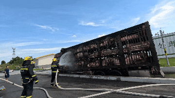 上饶服务区旁60余头“二师兄”集体中暑 “蓝朋友”送水降温