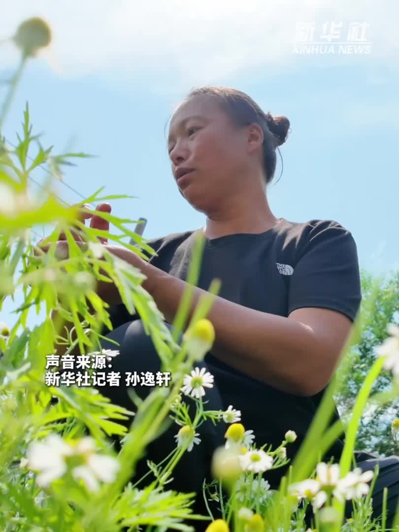 “村咖”助力乡村热起来