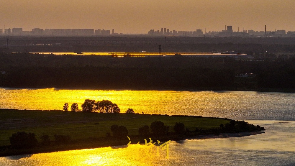 黄河持续大流量高水位运行，夕阳西下河面洒满金光