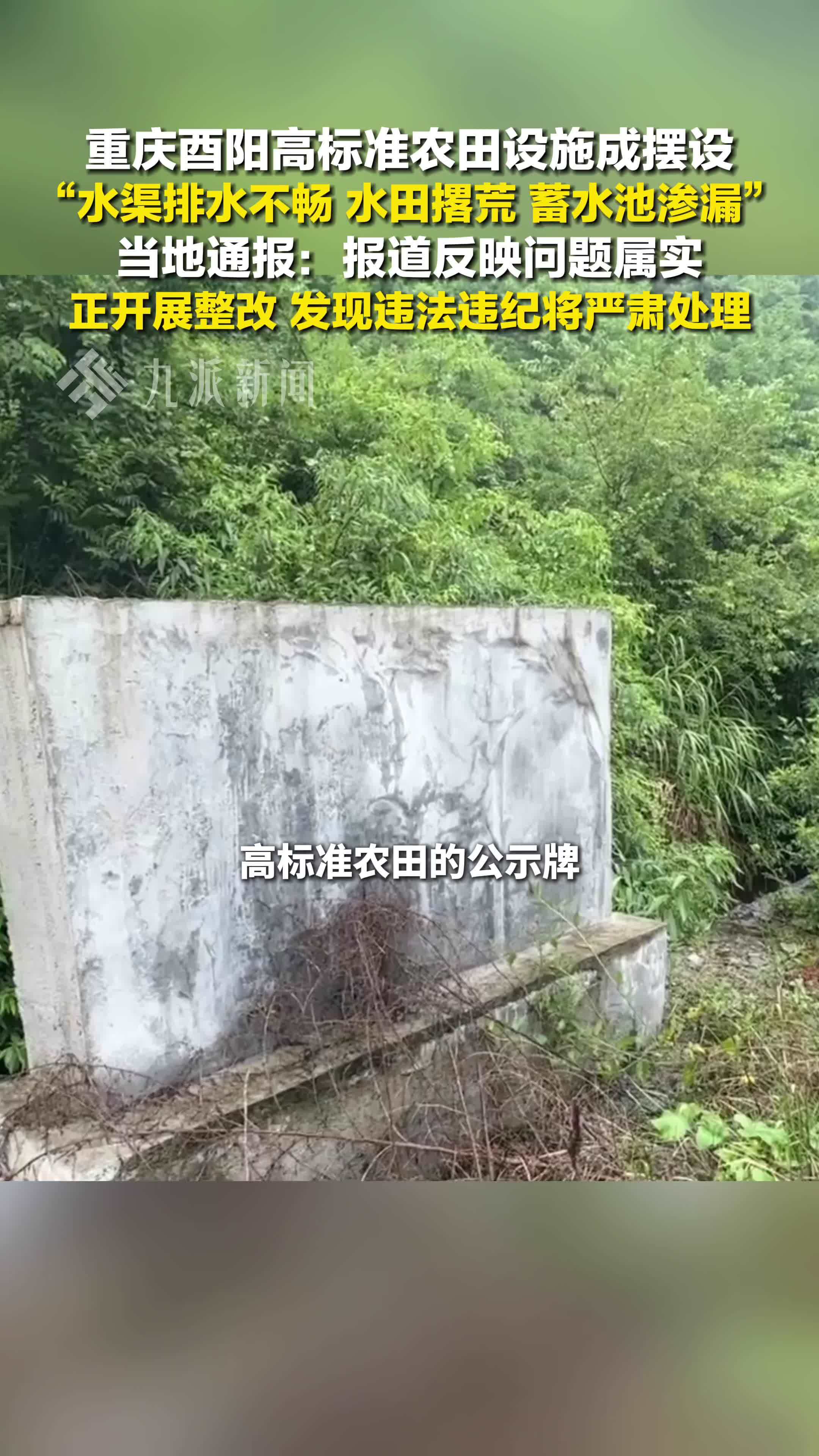 重庆酉阳通报高标准农田设施成摆设