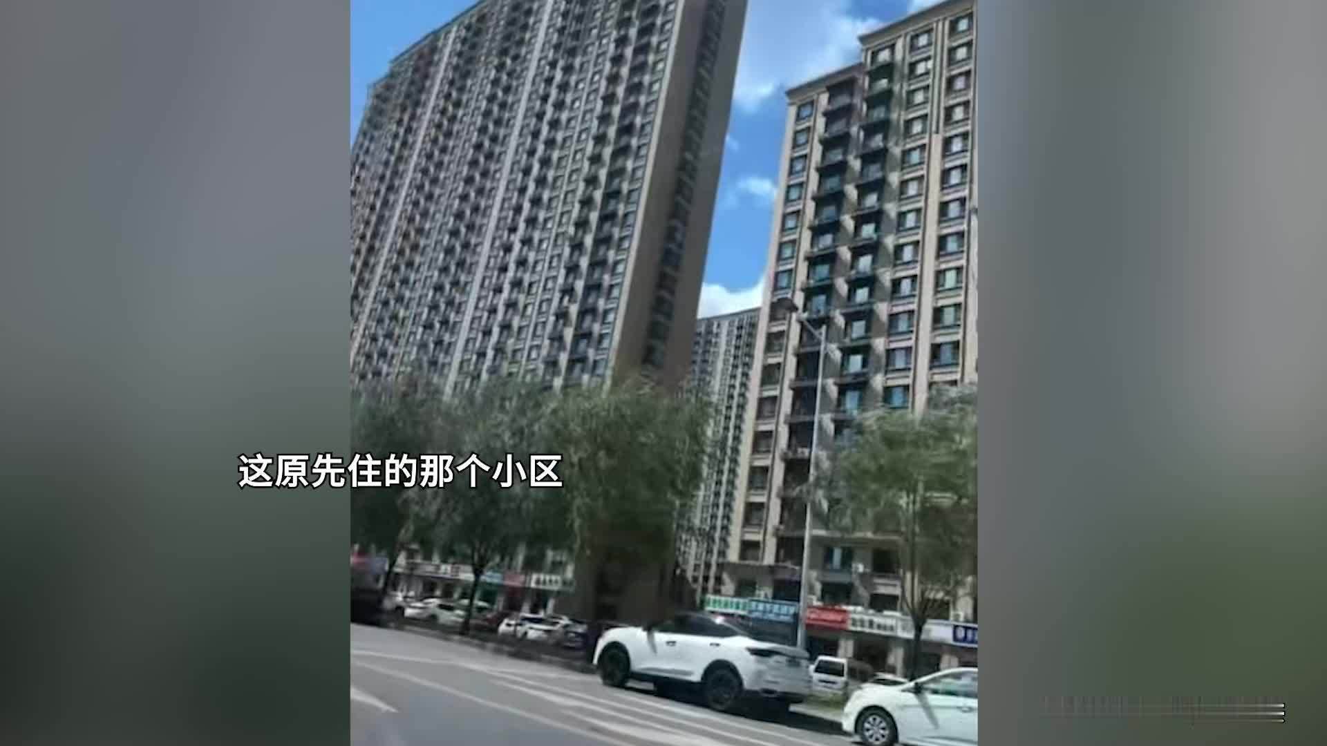 长春高温持续，市民：同时开3个风扇，桶里接水放冰块，猫热得吐舌头