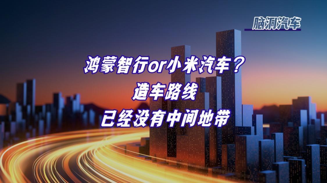 造车路线，已经没有中间地带