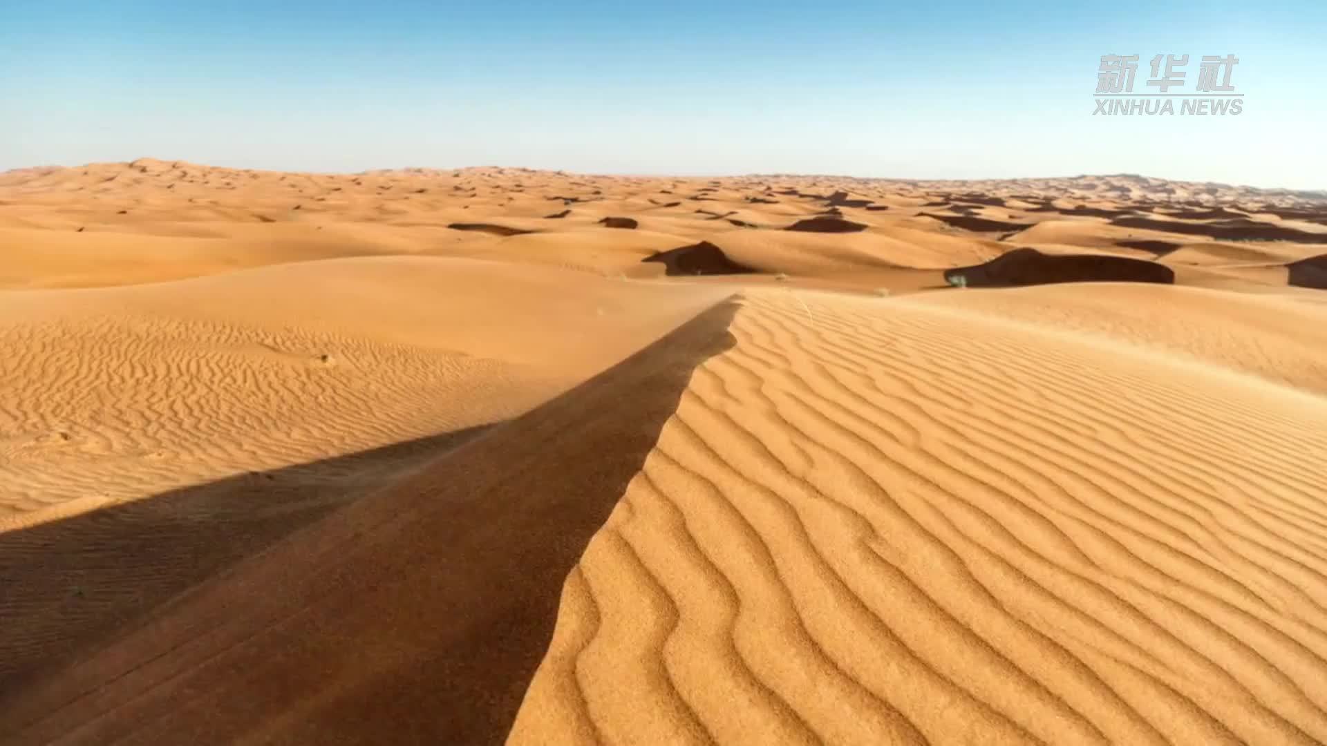 唤醒“沙戈荒”