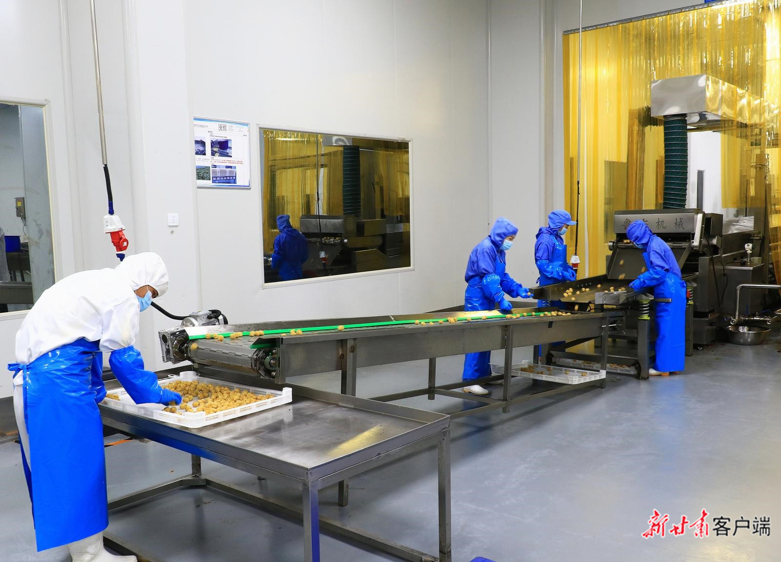 甘肃壹味仟诚农业科技有限责任公司生产车间 定西市融媒体中心供图