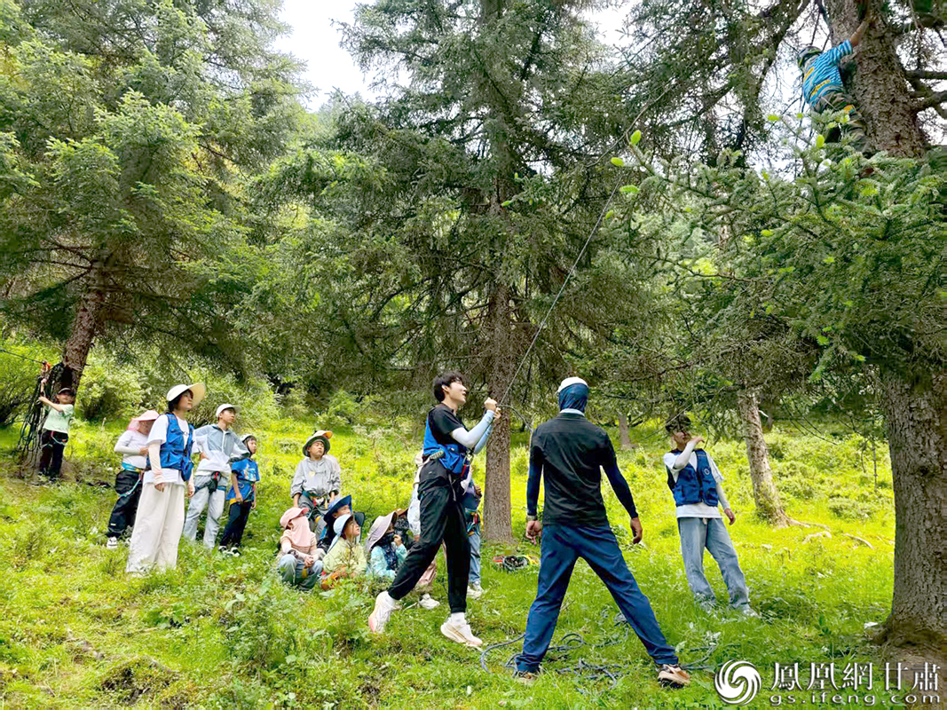 青少年在祁连山国家公园聚阳沟景区体验爬树，感受研学乐趣。