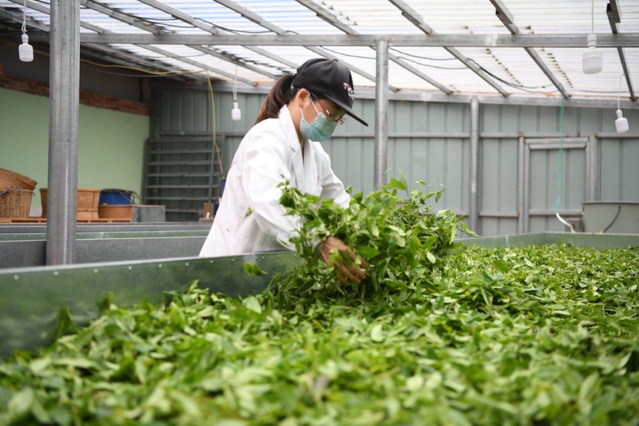 Shangrao’s Culture and Tourism in Jiangxi Province, Has Gone Viral !江西上饶文旅火"出圈"