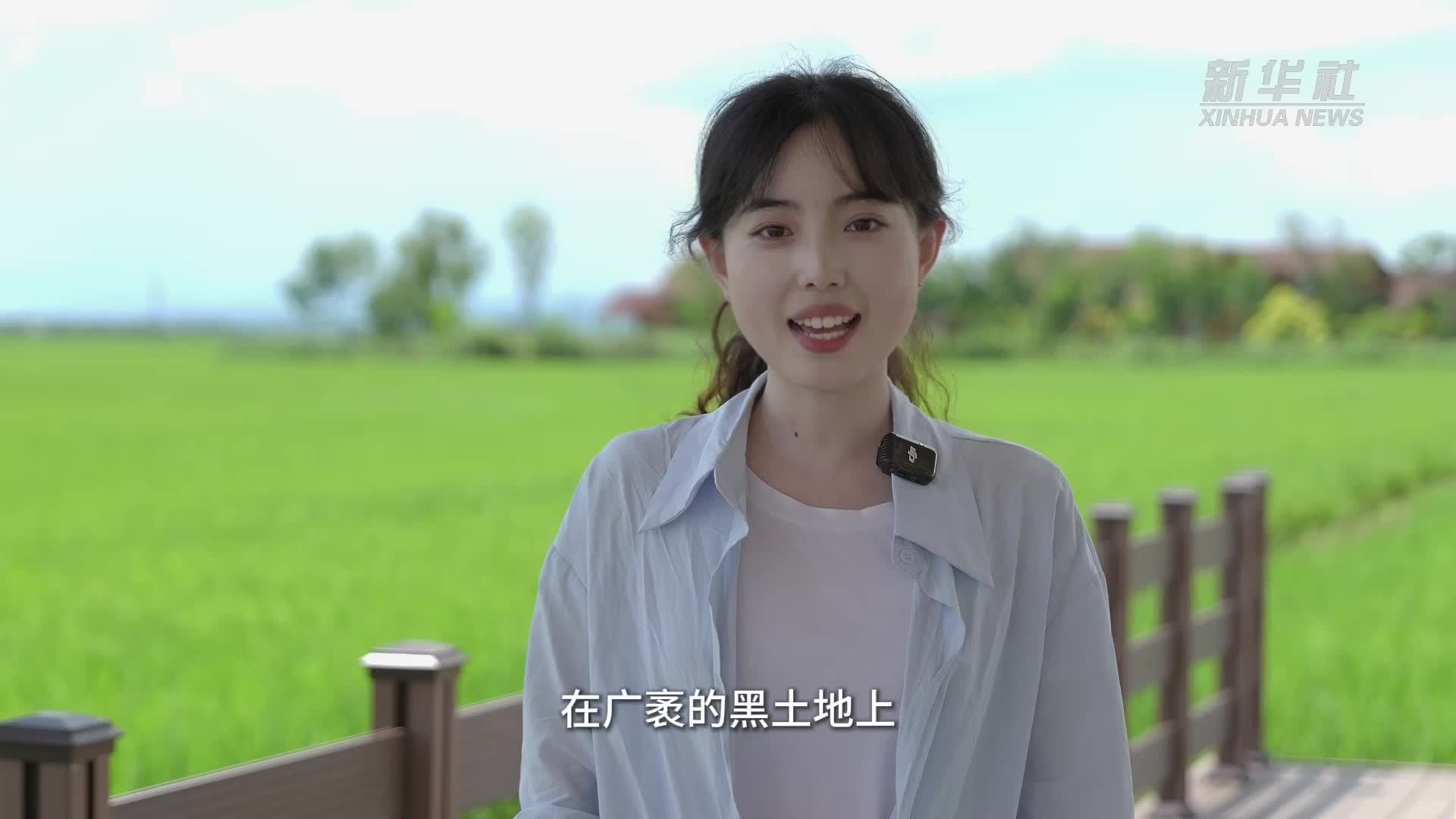 活力中国调研行丨从稻菽千重浪到民富产业兴 农文旅融合让黑土地变成“聚宝盆”