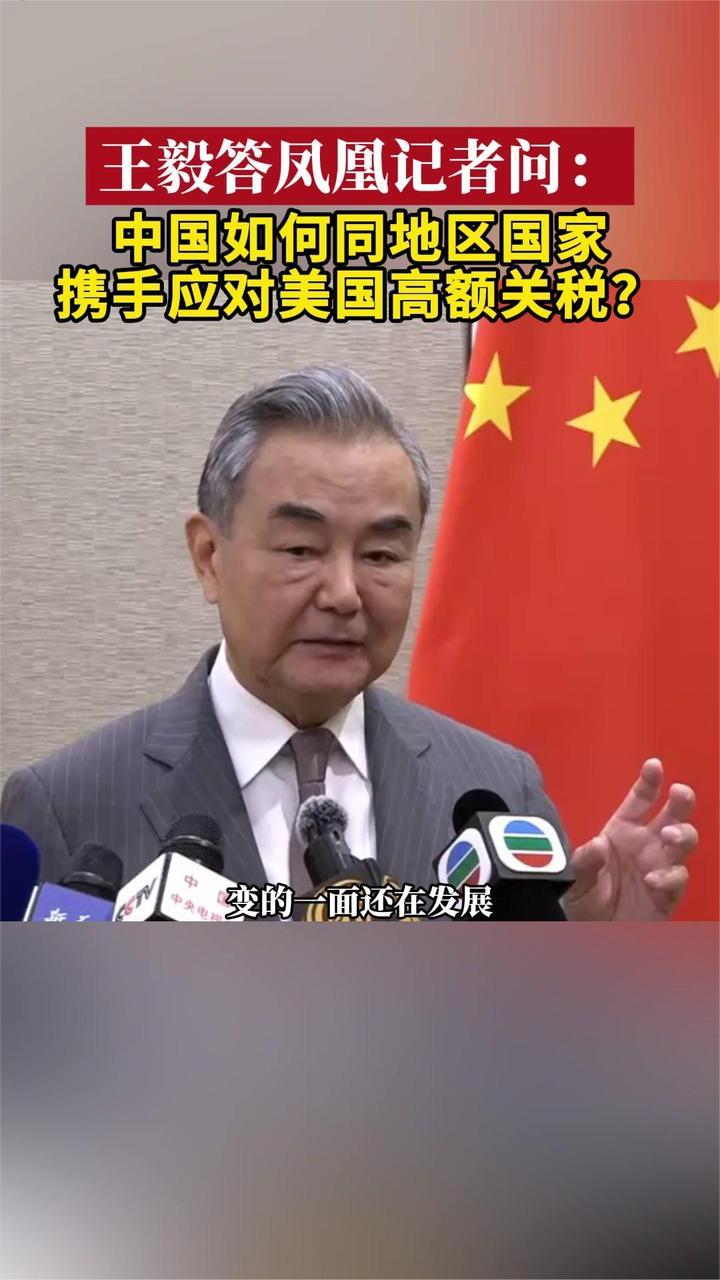 王毅答凤凰记者问：中国如何同地区国家携手应对美国高额关税？