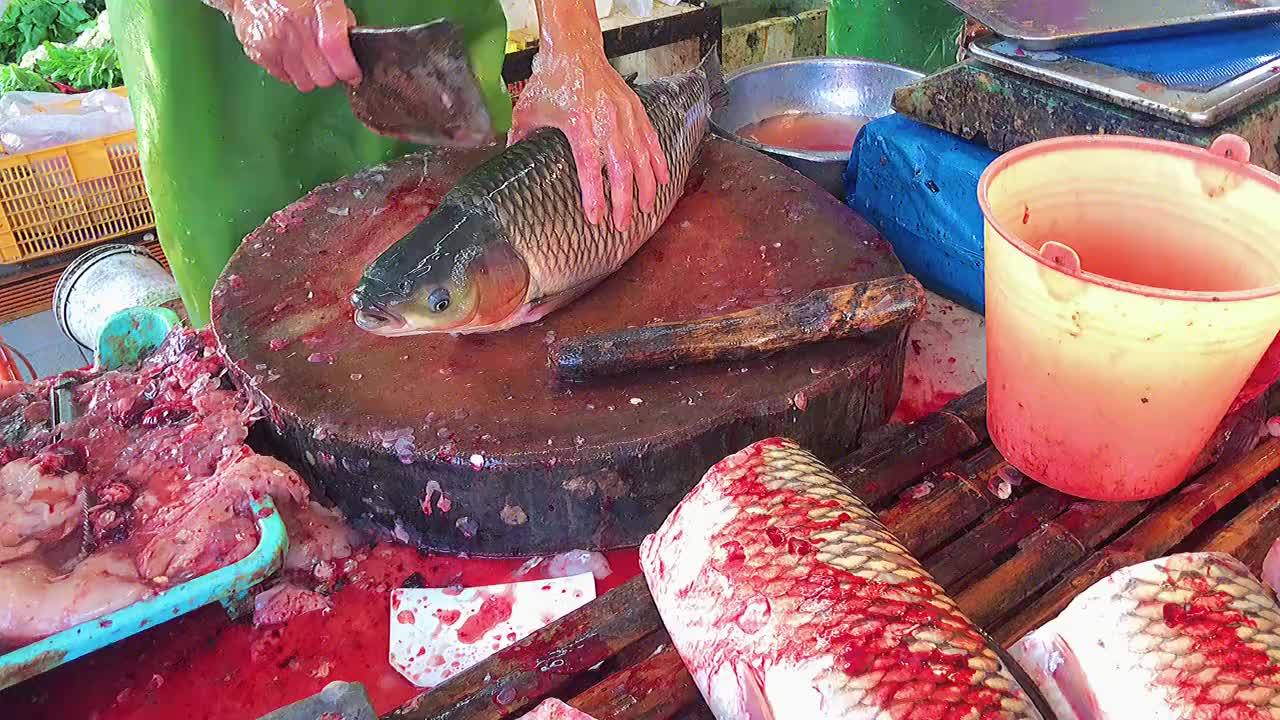 会吃草鱼的人都爱吃鱼尾，大厨教你这样切，鱼刺少，鲜嫩无腥味