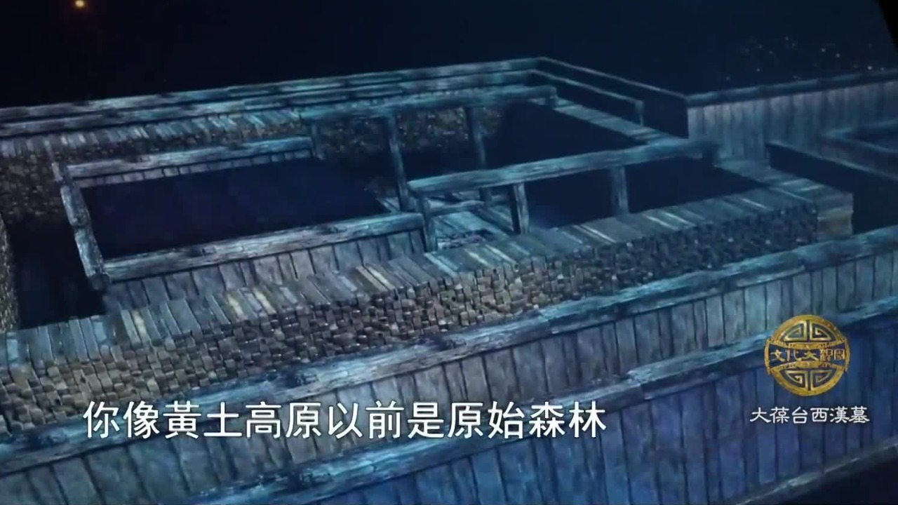 黄河水质越来越差都怪老祖宗？一个诸侯王的墓就要用15880根柏木心