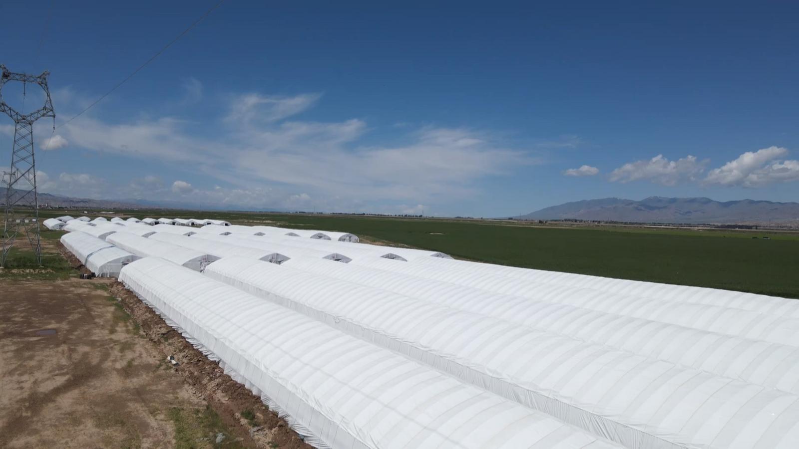 南菇北种添“蘑”力　永昌解锁乡村致富密码