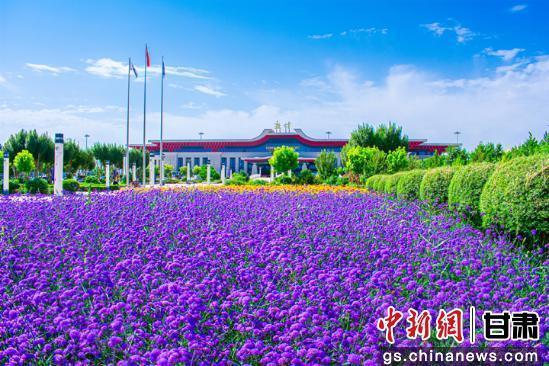7月10日，敦煌莫高国际机场周边的花海美景。王斌银　摄