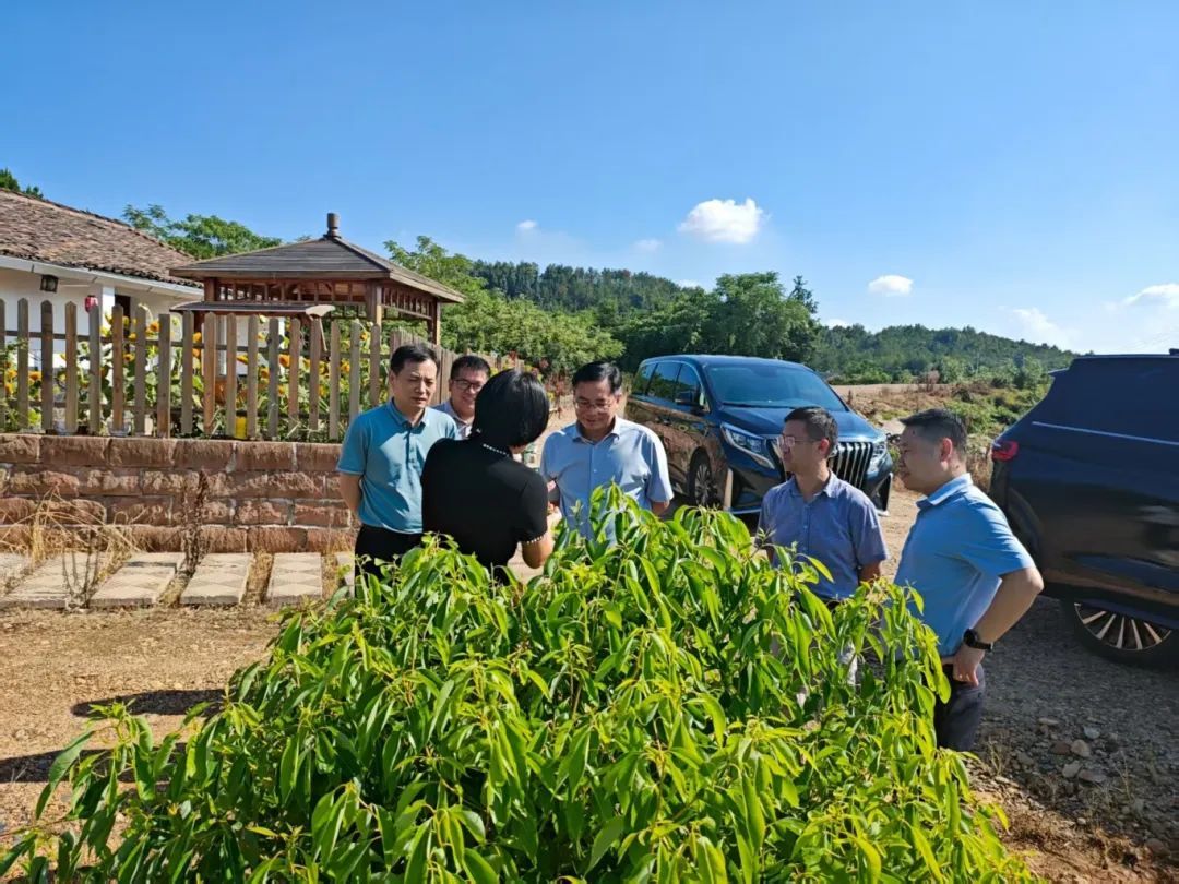 江西报业传媒集团党委副书记、总经理王少君率队考察调研“余江模式”