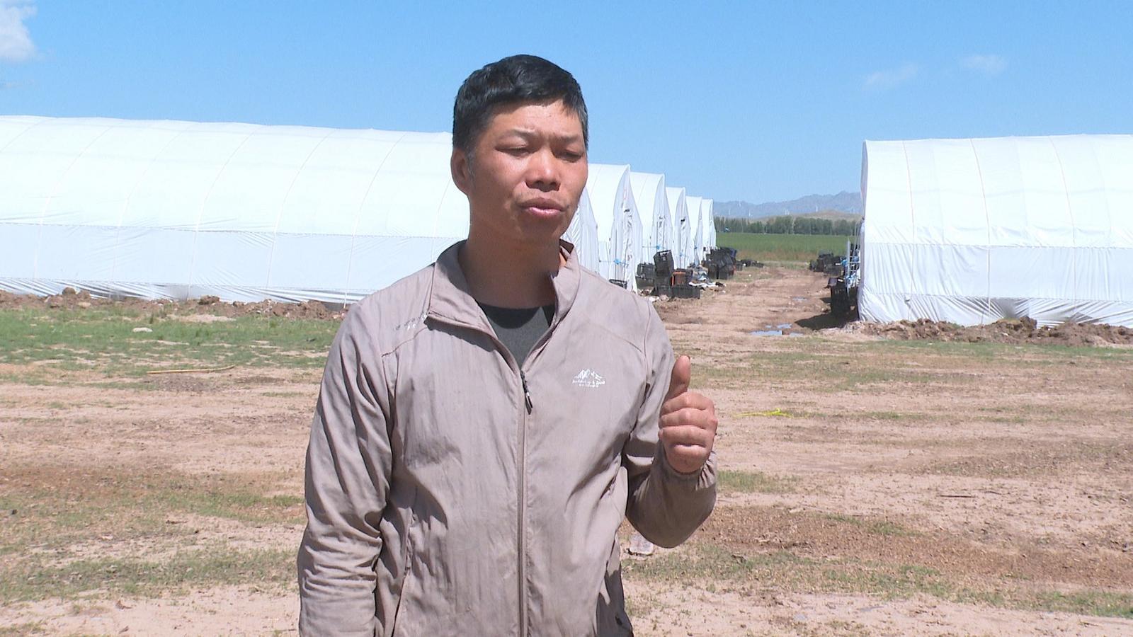 南菇北种添“蘑”力　永昌解锁乡村致富密码