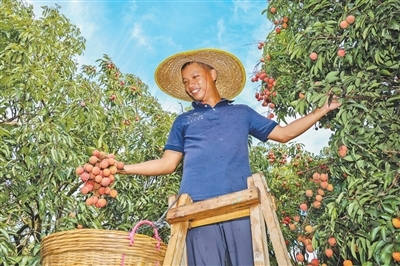 消费者“甜”了，果农有赚头吗？（经济新方位）