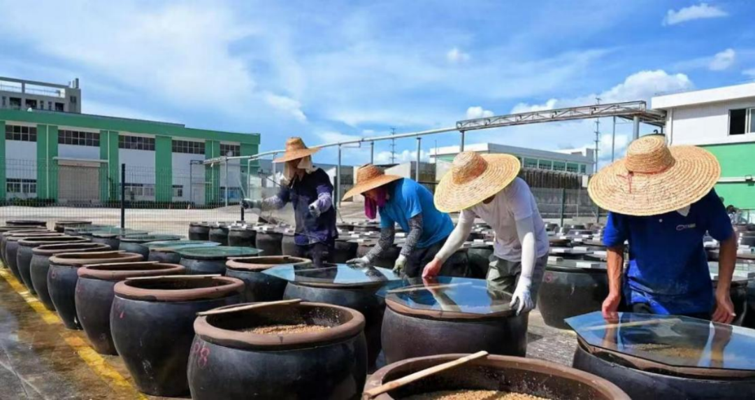 至今仍坚持传统的小缸、小池发酵酿造工艺