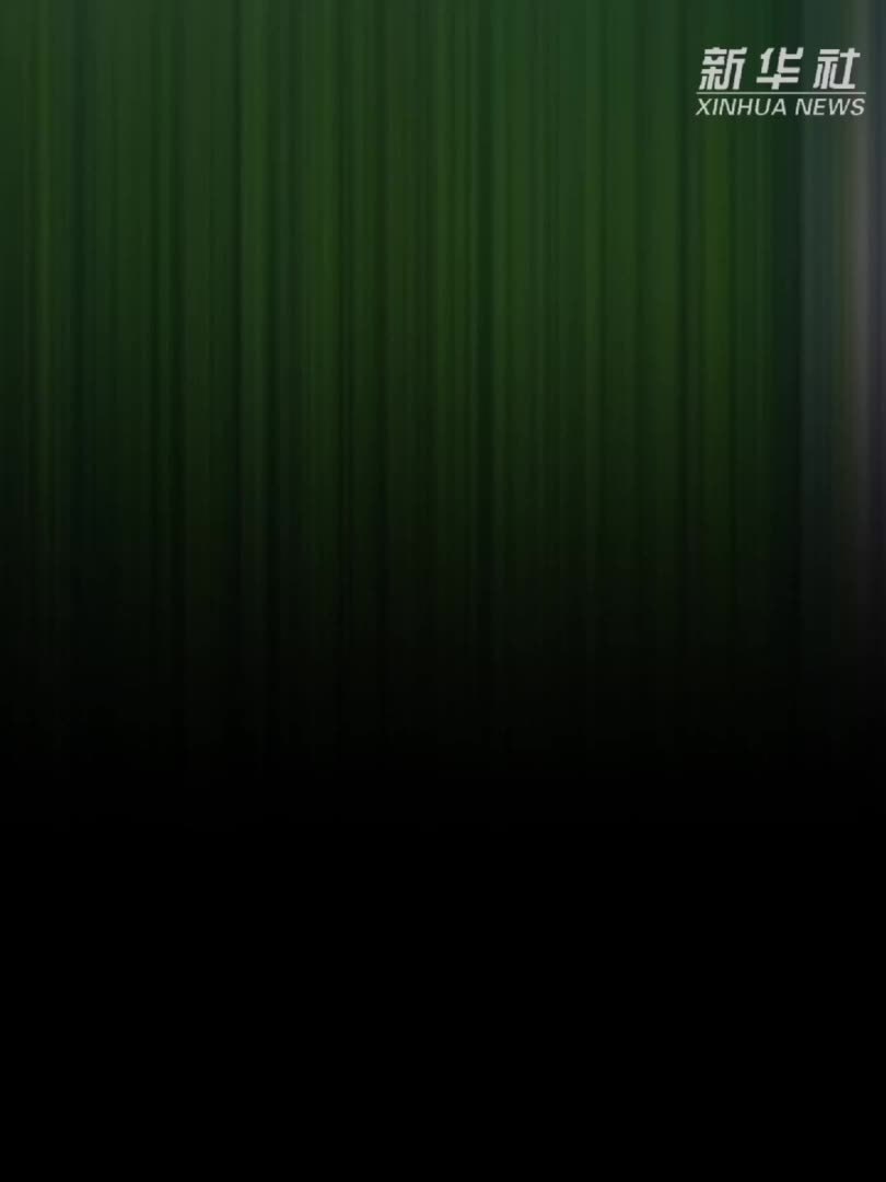 城·事｜杭州未来科技城 释放澎湃活力