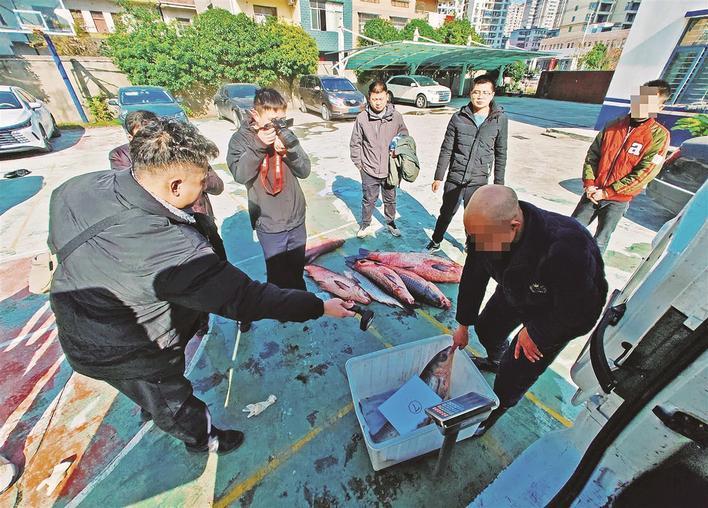 渔获物称重 通讯员供图