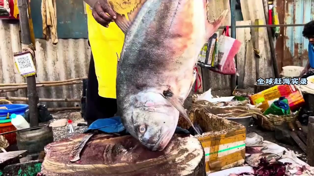印度刀哥宰杀三十斤大的牛港鱼准备烹饪，刀法相当利索