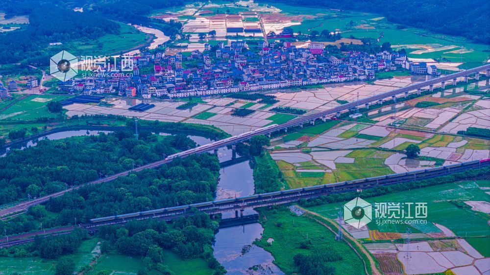 2025年7月10日在江西省吉安市峡江县拍摄的画面。