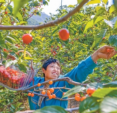 消费者“甜”了，果农有赚头吗？（经济新方位）