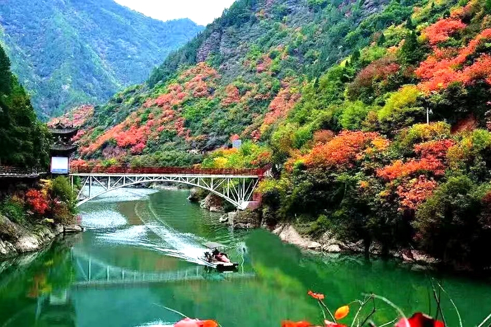 凤县“十四五”成就斐然：从“矿业大县”到“生态强县”的华丽蝶变