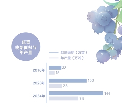 消费者“甜”了，果农有赚头吗？（经济新方位）