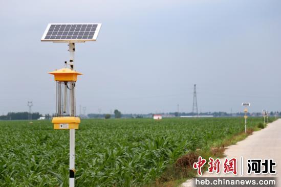 图为高标准农田地头的物联网杀虫灯。 郭江鹏 摄