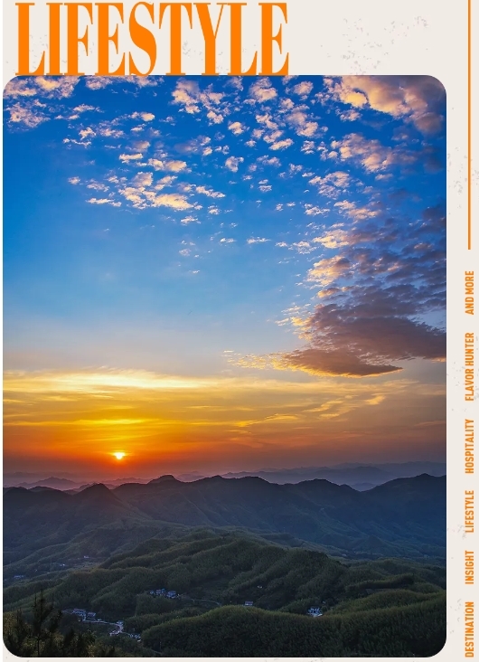 现在的年轻人，在上班和上学之间选择了上山