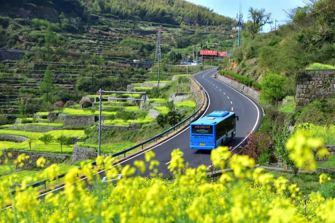 山间公交.jpg