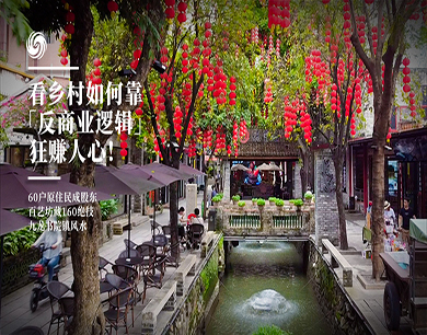 看乡村如何靠反商业逻辑狂赚人心！