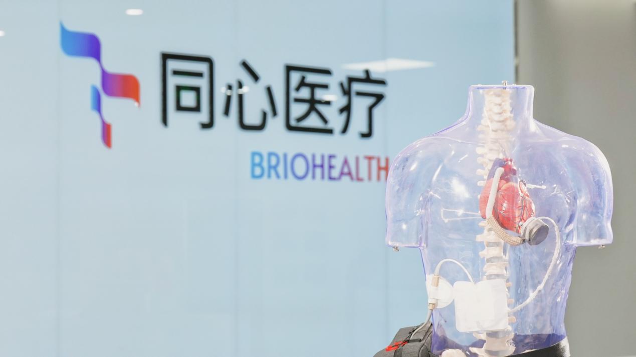 植入式全磁悬浮人工心脏