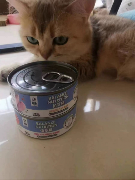 点击查看原始图片