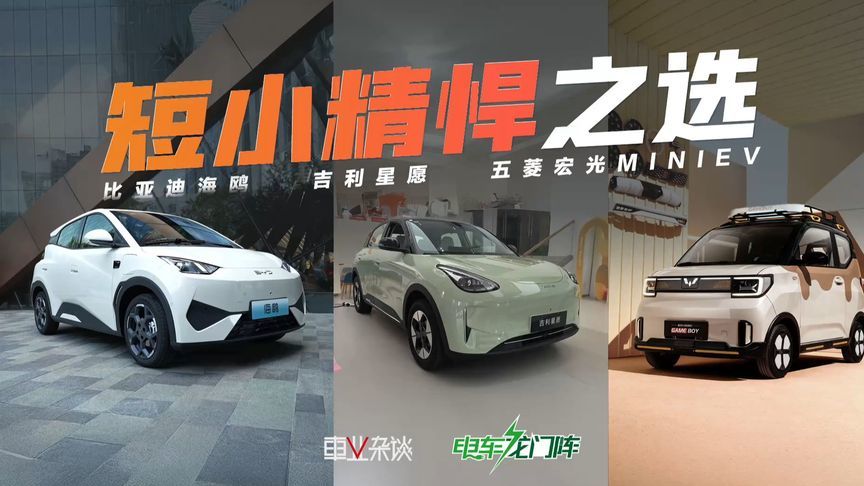 不止买菜遛娃，8万落地，星愿、海鸥、宏光MINI该怎么选？