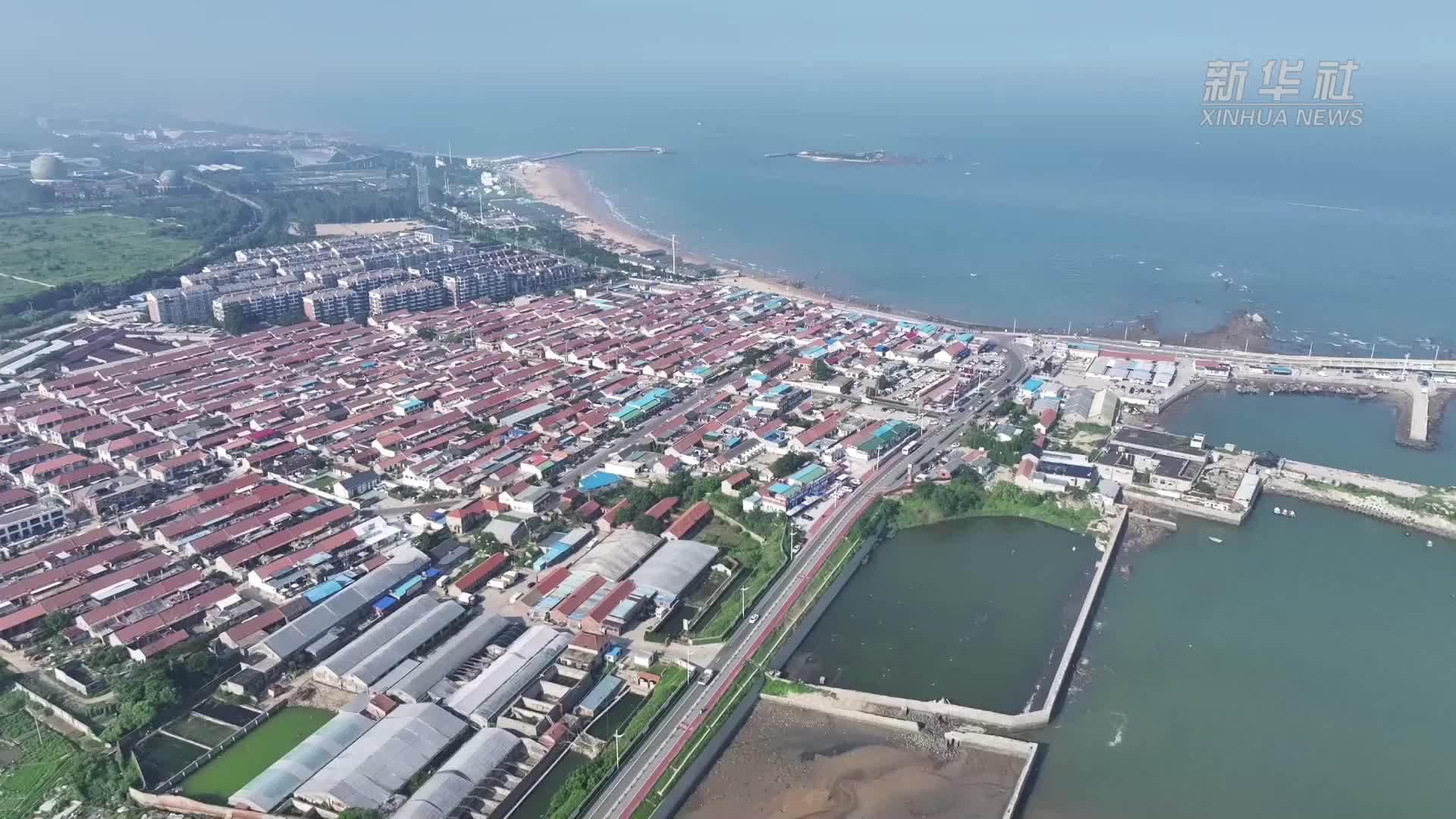 乘风向海立潮头——山东奋力打造现代海洋经济发展高地